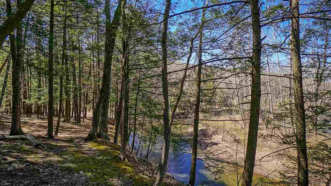 124 Wilhelm Road Saugerties, NY 12477 - Photo 29 of 33 a backyard of a house with lots of green space