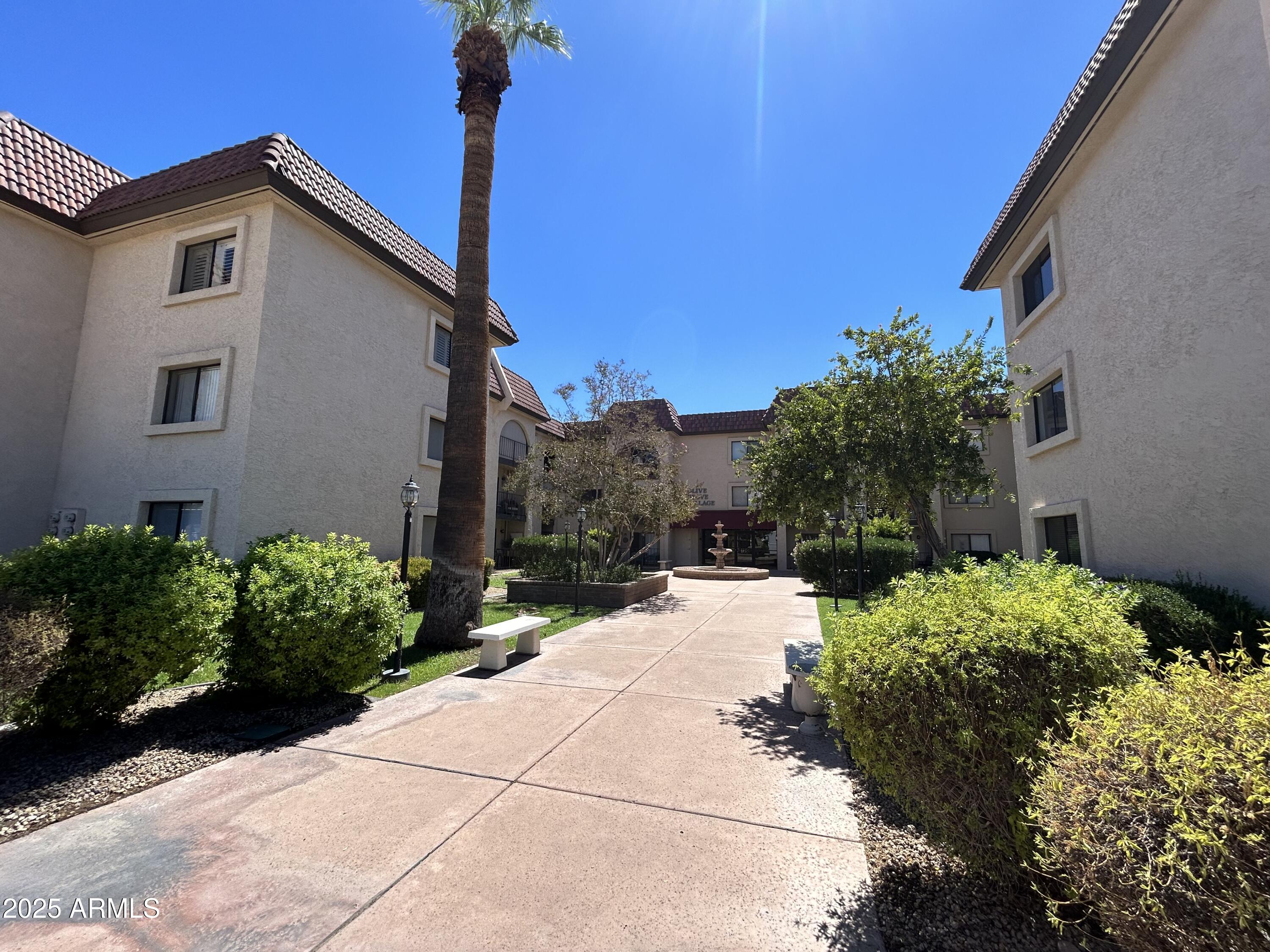 3033 East Devonshire Avenue, Unit 3008 Phoenix, AZ 85016 - Photo 4 of 11 IMG_0174