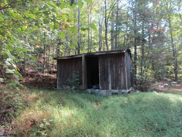 1290 Brake Road Elliston, VA 24087 - Photo 4 of 12 a view of a backyard with barn and large trees
