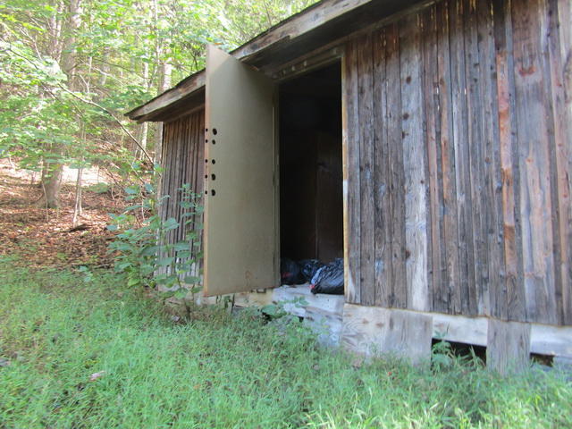 1290 Brake Road Elliston, VA 24087 - Photo 5 of 12 a view of a wooden door and a small barn
