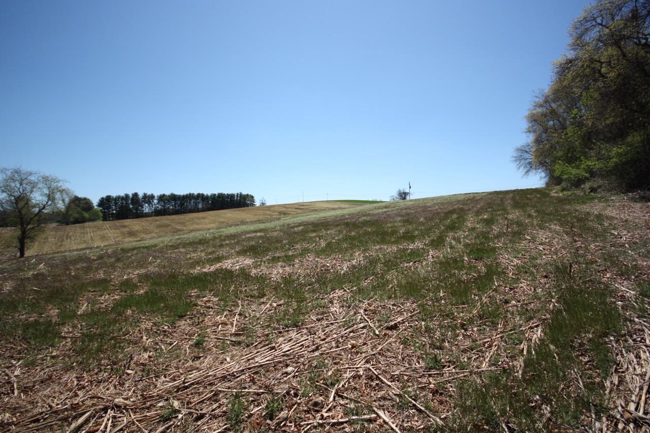 Prices Distillery Road Clarksburg, MD 20871 - Photo 3 of 6 Corner of Lot (North)