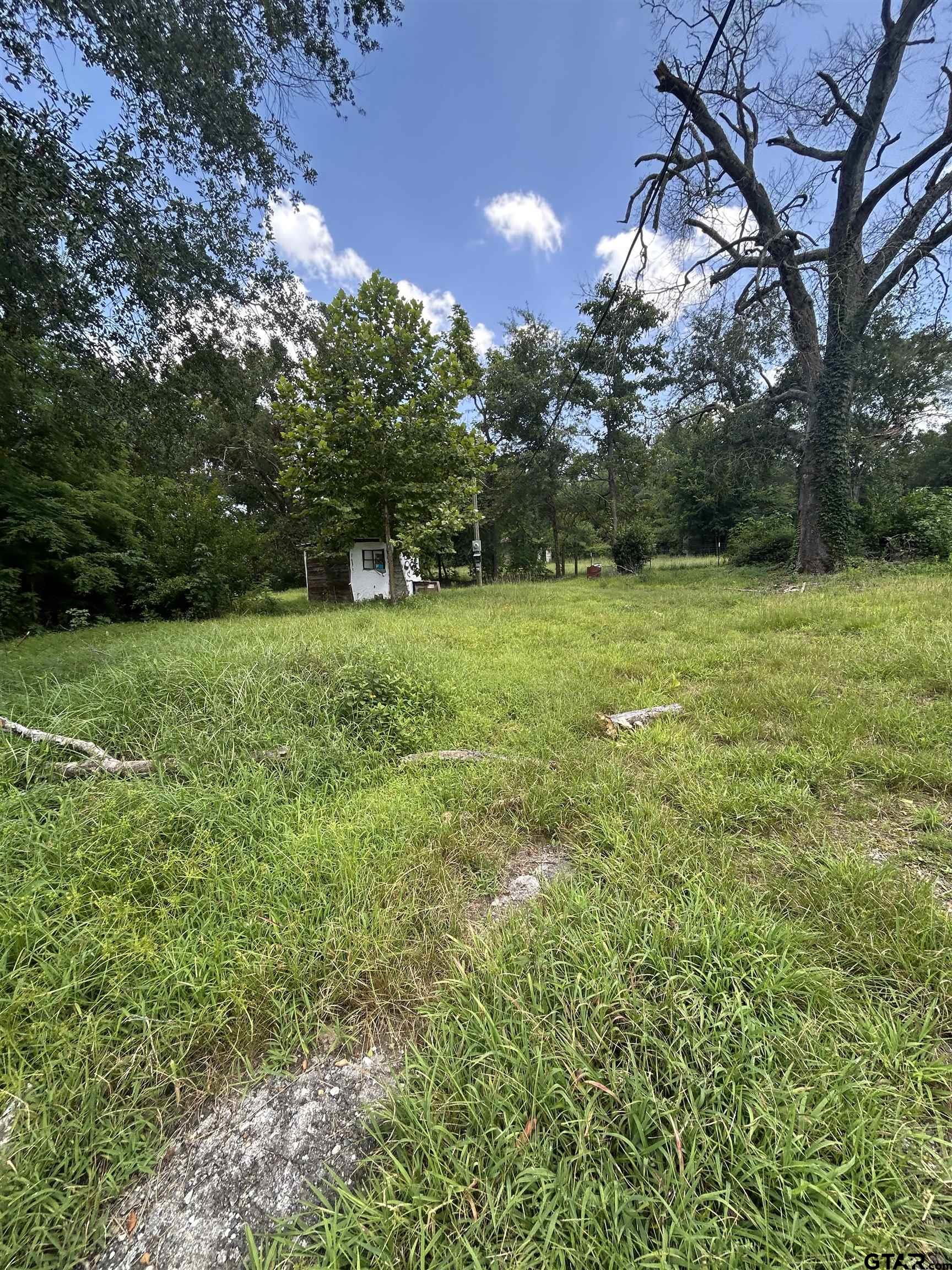 6447 State Highway 155 Gilmer, TX 75645 - Photo 4 of 12