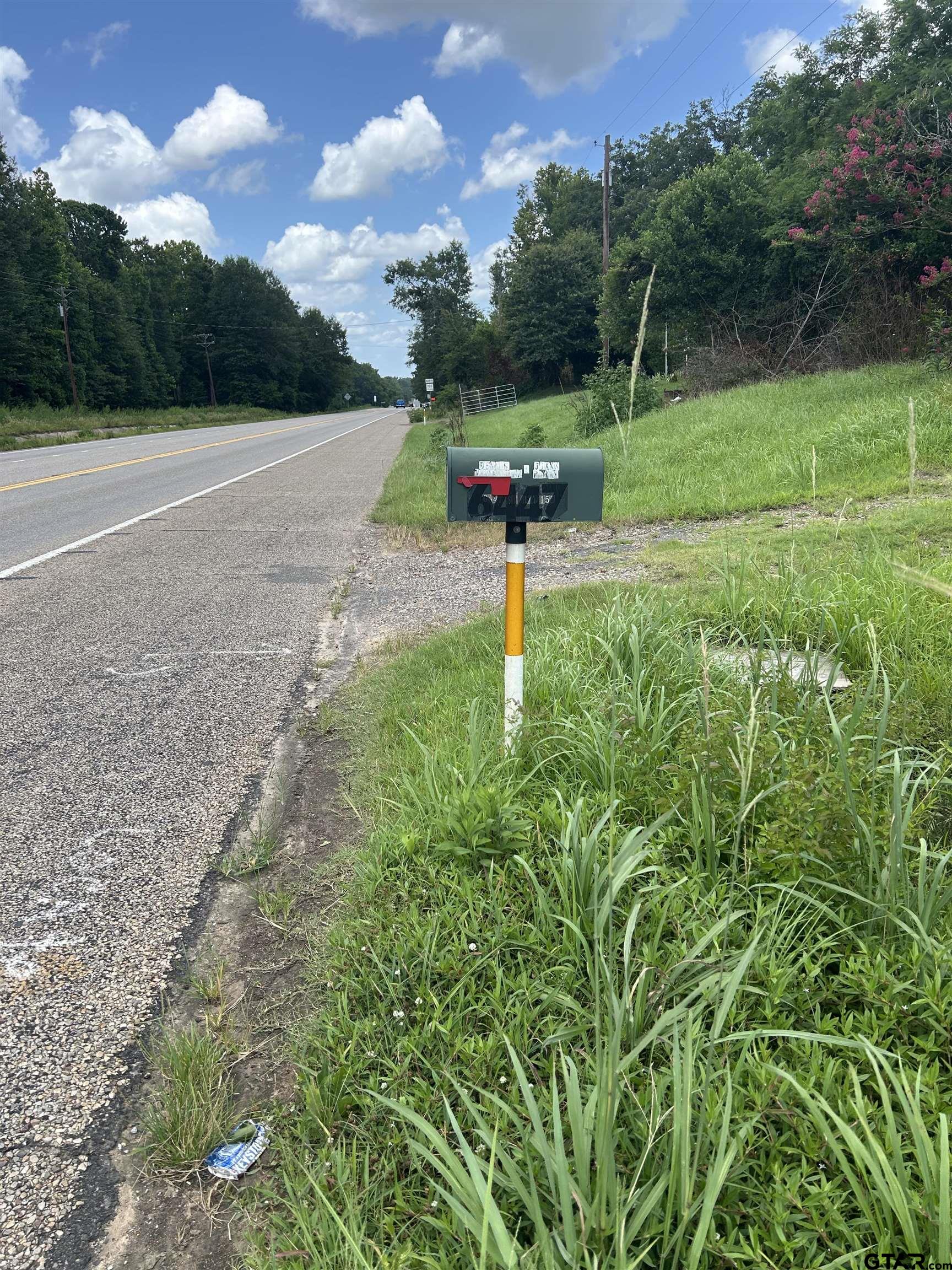 6447 State Highway 155 Gilmer, TX 75645 - Photo 6 of 12