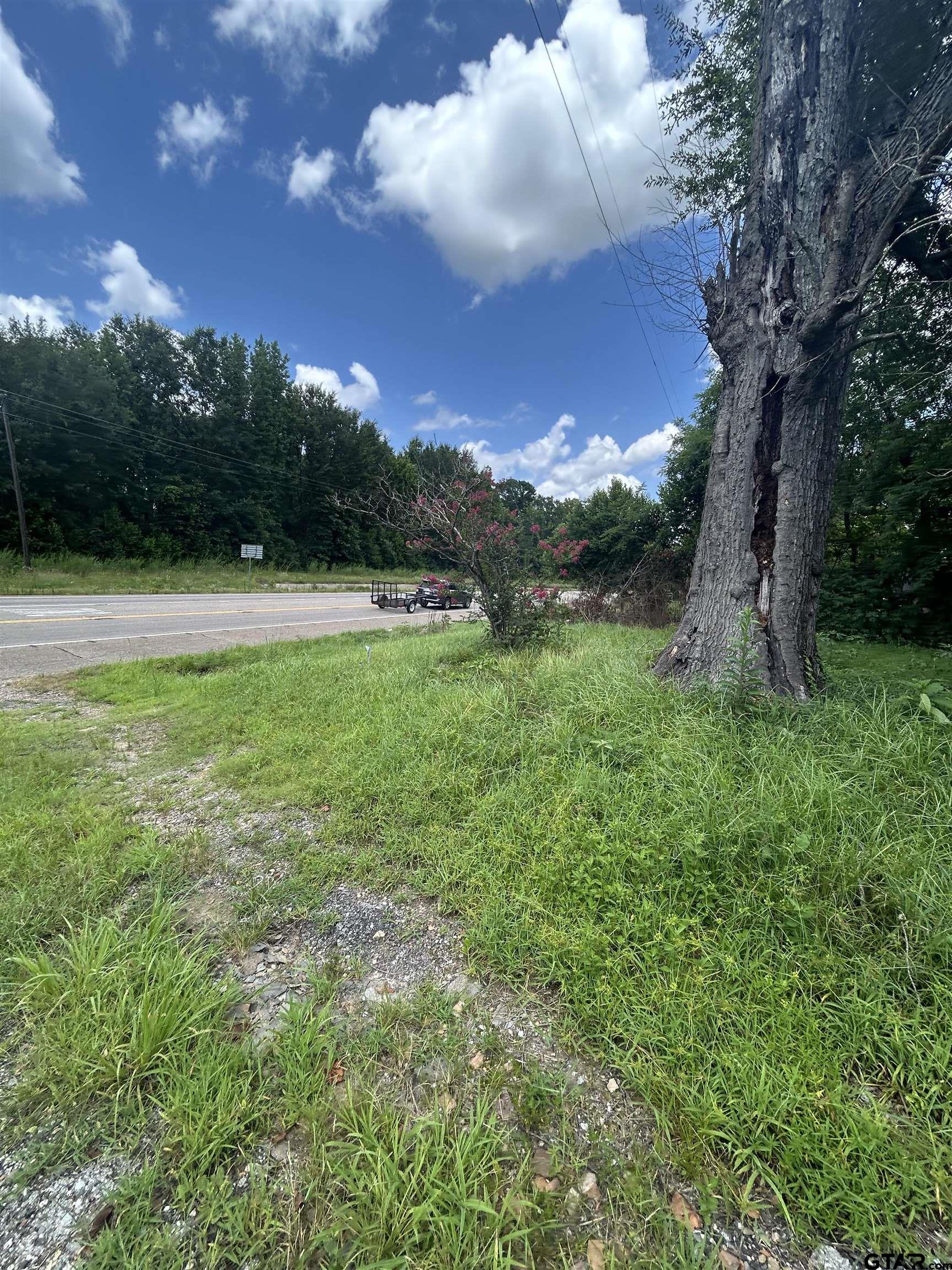 6447 State Highway 155 Gilmer, TX 75645 - Photo 10 of 12