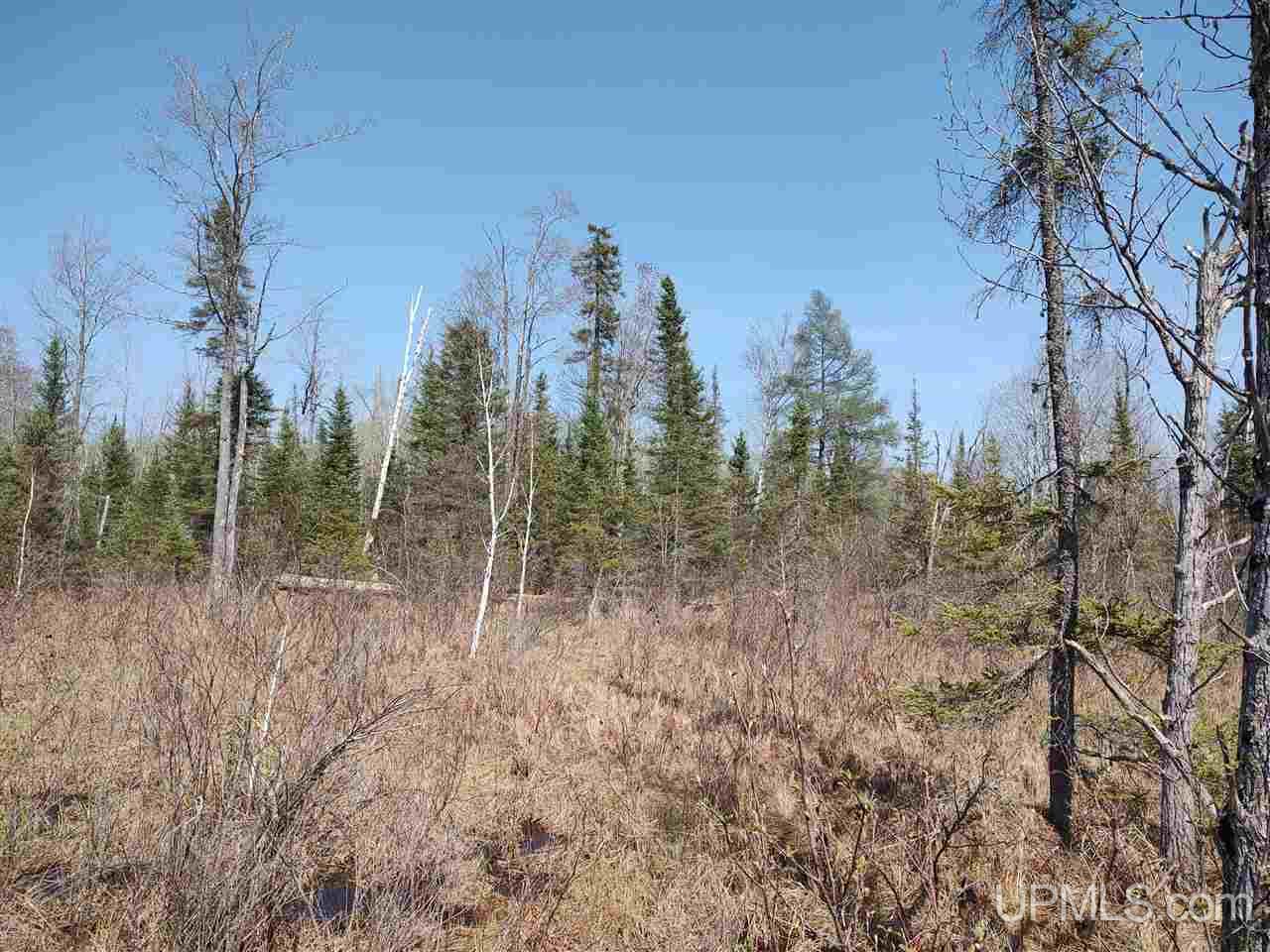 426 Rd Cornell Mi 49818 Road Cornell, MI 49818 - Photo 17 of 22