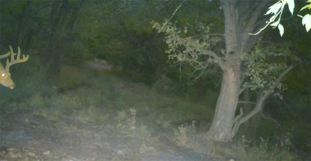 550 California Road Williamsburg, KS 66095 - Photo 74 of 75 Gallery Image 74