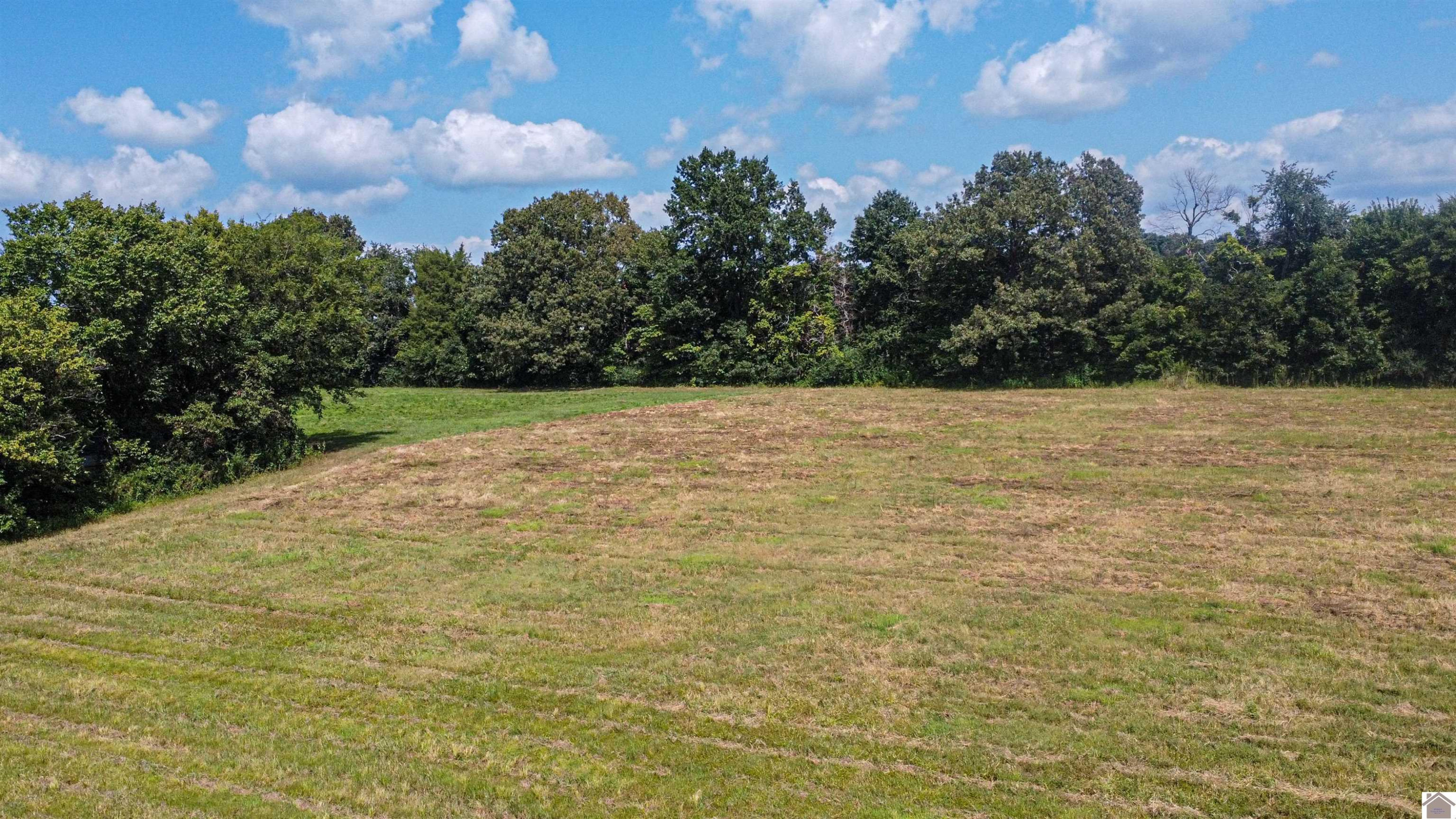 0 Airport Road Murray, KY 42071 - Photo 10 of 10 Photo 10