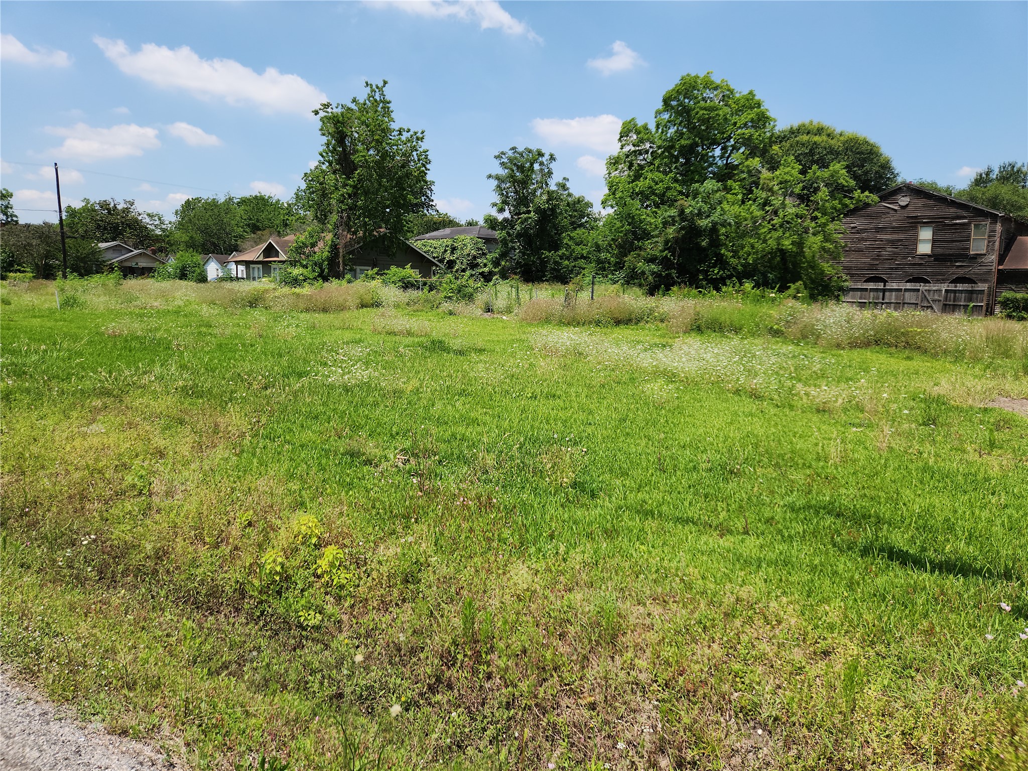 2101 Briley Street Houston, TX 77004 - Photo 3 of 7 a view of a lush green space with sea