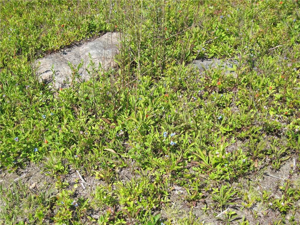 222 Bog Road Northport, ME 04849 - Photo 15 of 17 Photo