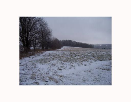 Donation Hill Road Cochranton, PA 16314 - Photo 1 of 3 Land/Lot.