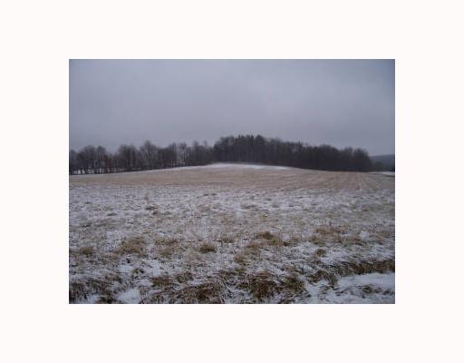 Donation Hill Road Cochranton, PA 16314 - Photo 2 of 3 Land.