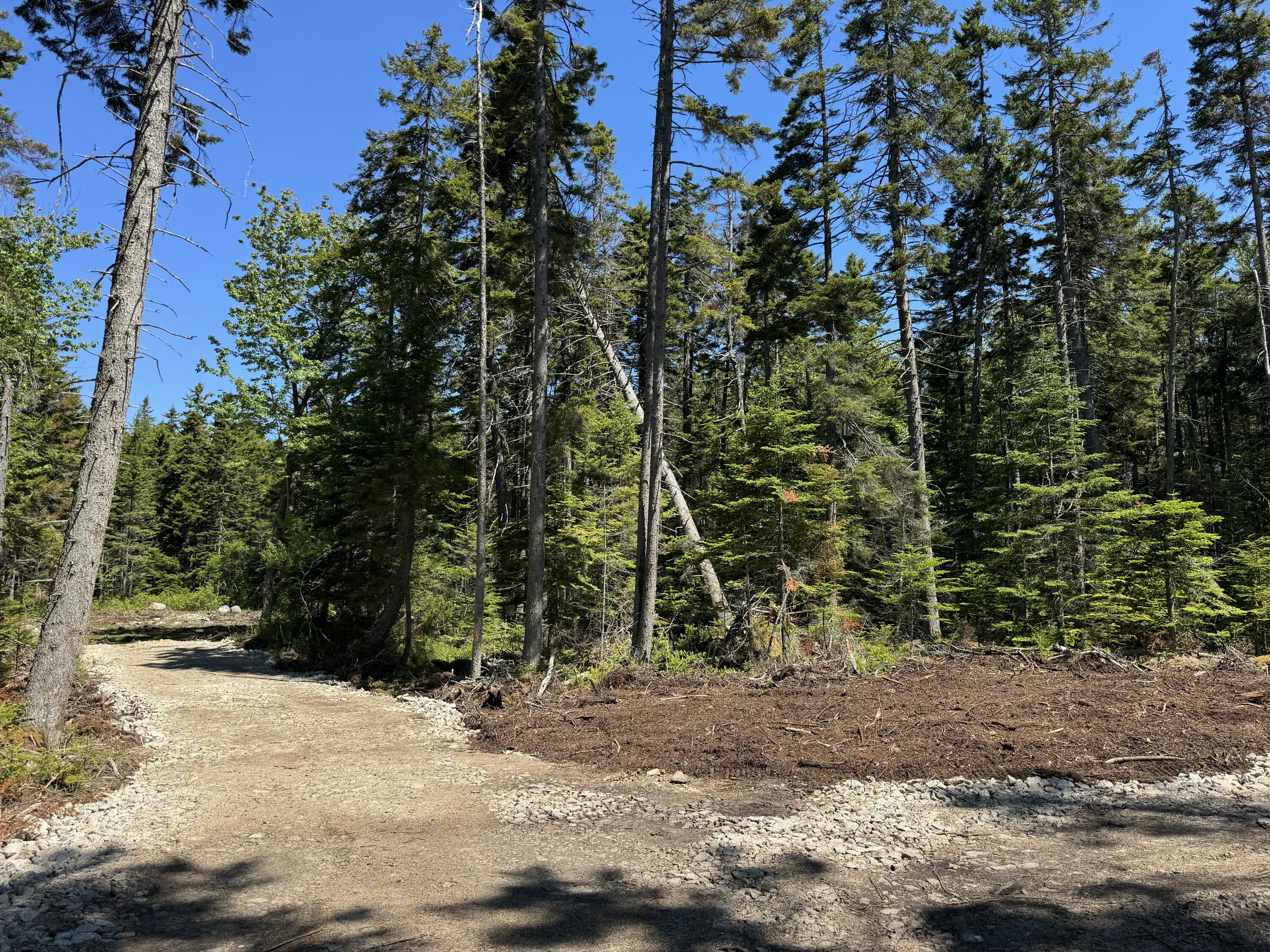 12 Jamestown Road Vinalhaven, ME 04863 - Photo 2 of 17