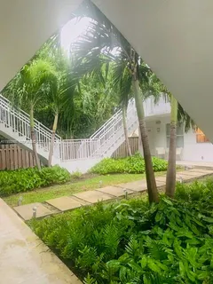 a view of a garden with a small yard