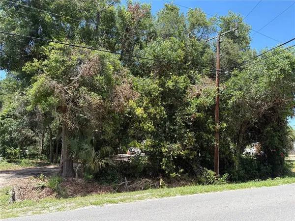 a view of a yard
