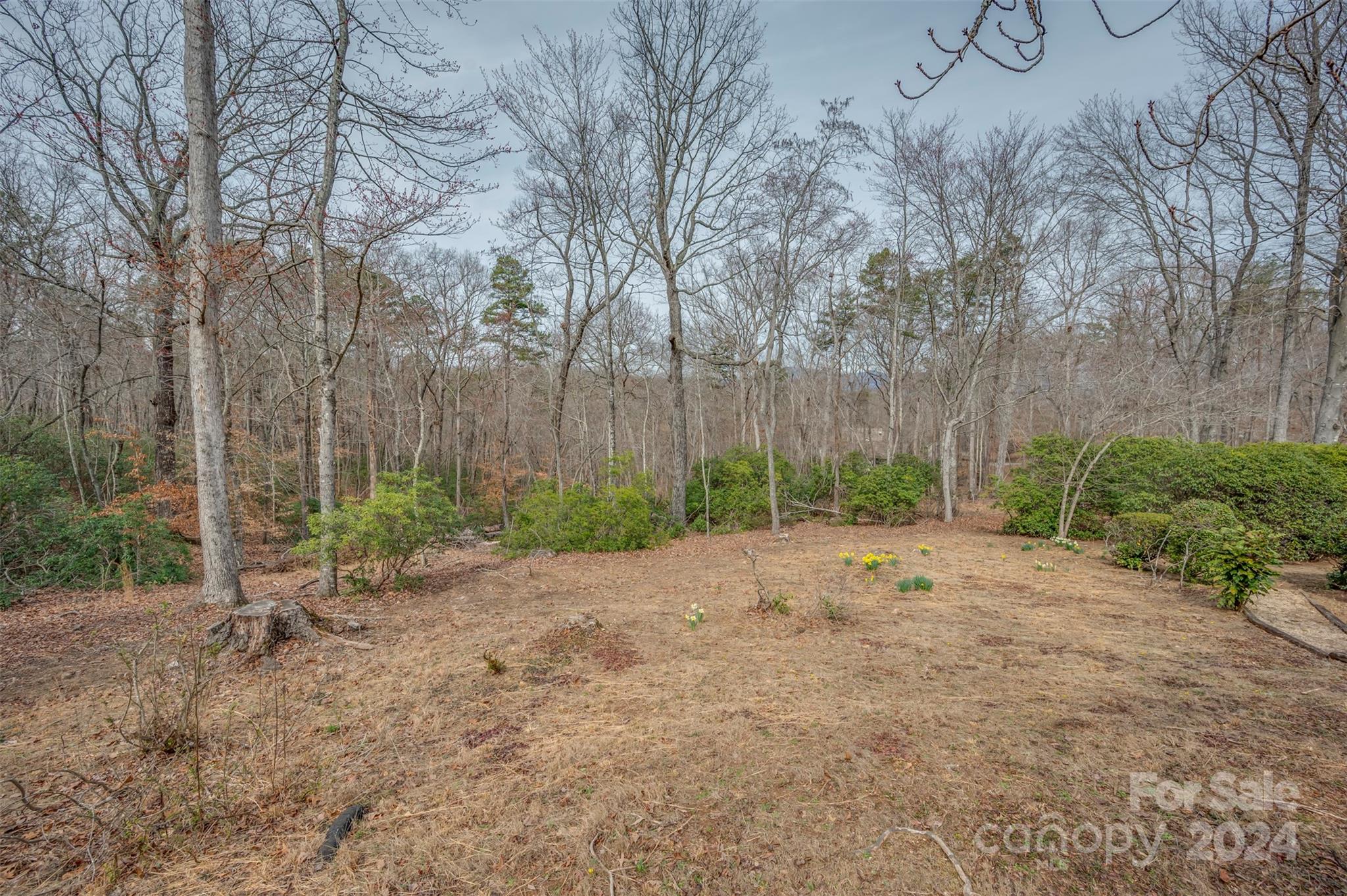 433 Winterset Trail Tryon, NC 28782 - Photo 30 of 31 Gallery Image 30