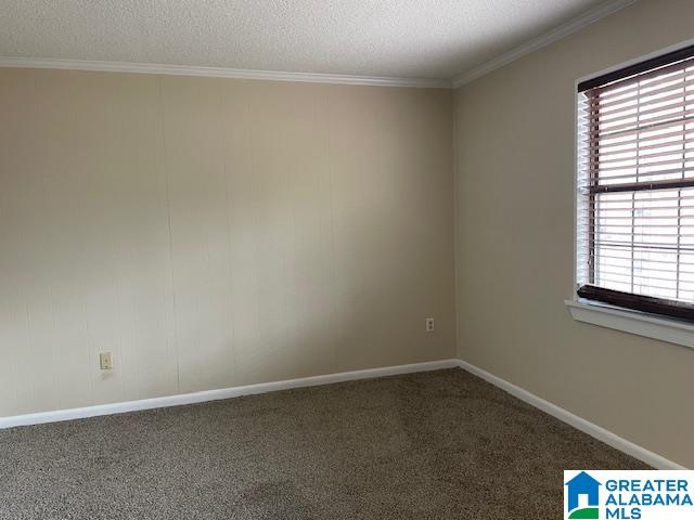1345 Mountain Lake Road Warrior, AL 35180 - Photo 8 of 15