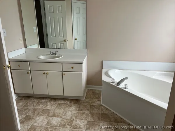 a view of a yard with plants and large trees