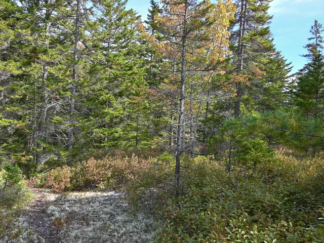 $190,000 | 0 Seawall Map/lot 17/11-02 Rd Harbor, Southwest Harbor, ME 04679