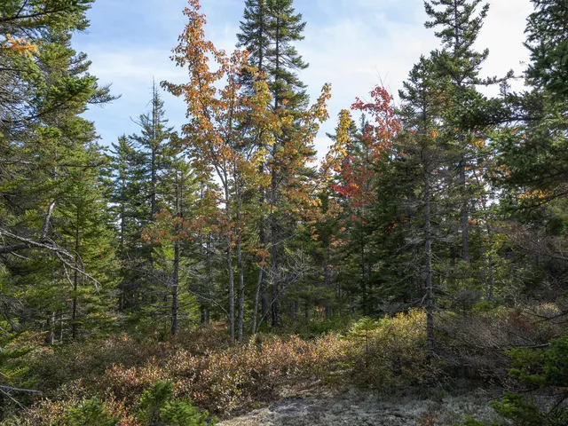 $190,000 | 0 Seawall Map/lot 17/11-02 Rd Harbor, Southwest Harbor, ME 04679