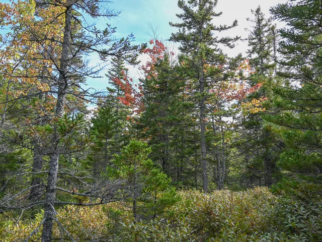 $190,000 | 0 Seawall Map/lot 17/11-02 Rd Harbor, Southwest Harbor, ME 04679