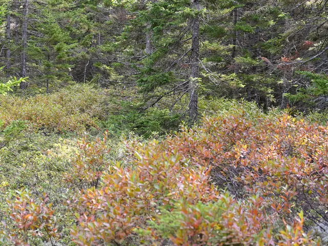 $190,000 | 0 Seawall Map/lot 17/11-02 Rd Harbor, Southwest Harbor, ME 04679