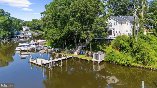 a view of a house with a small yard and large tree