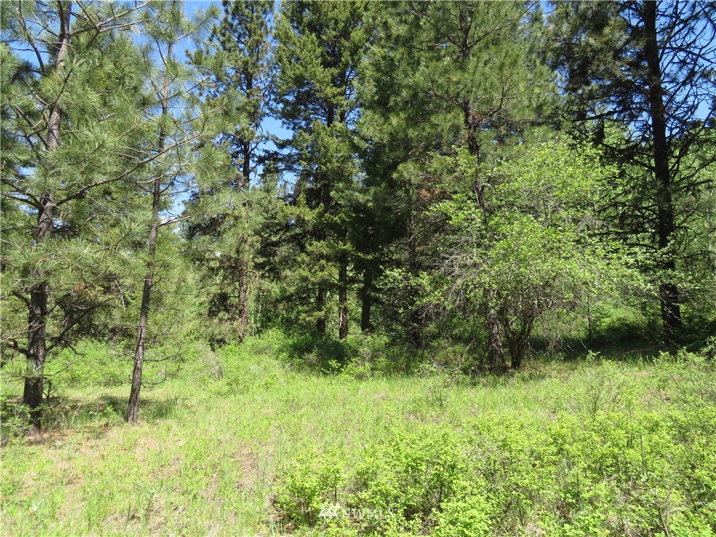 85 East Knob Hill Road Republic, WA 99166 - Photo 2 of 11