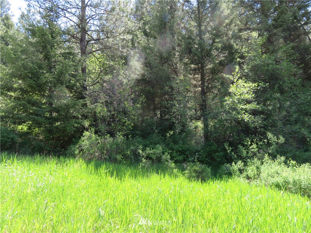 85 East Knob Hill Road Republic, WA 99166 - Photo 5 of 11