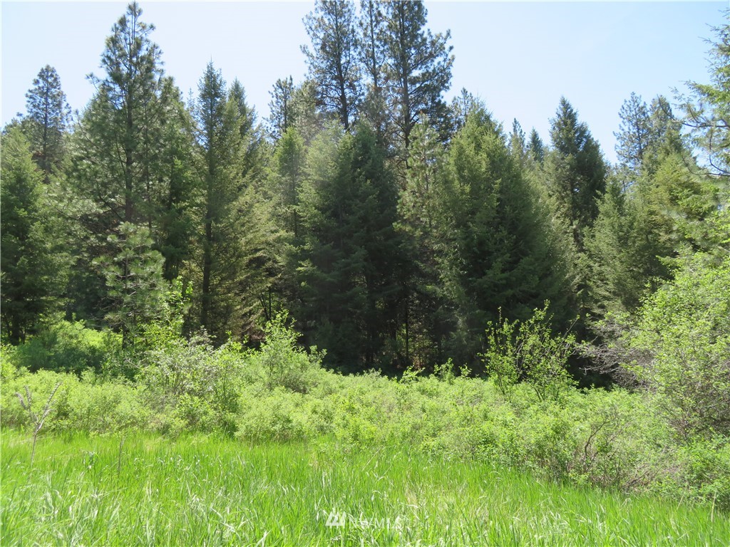 85 East Knob Hill Road Republic, WA 99166 - Photo 8 of 11