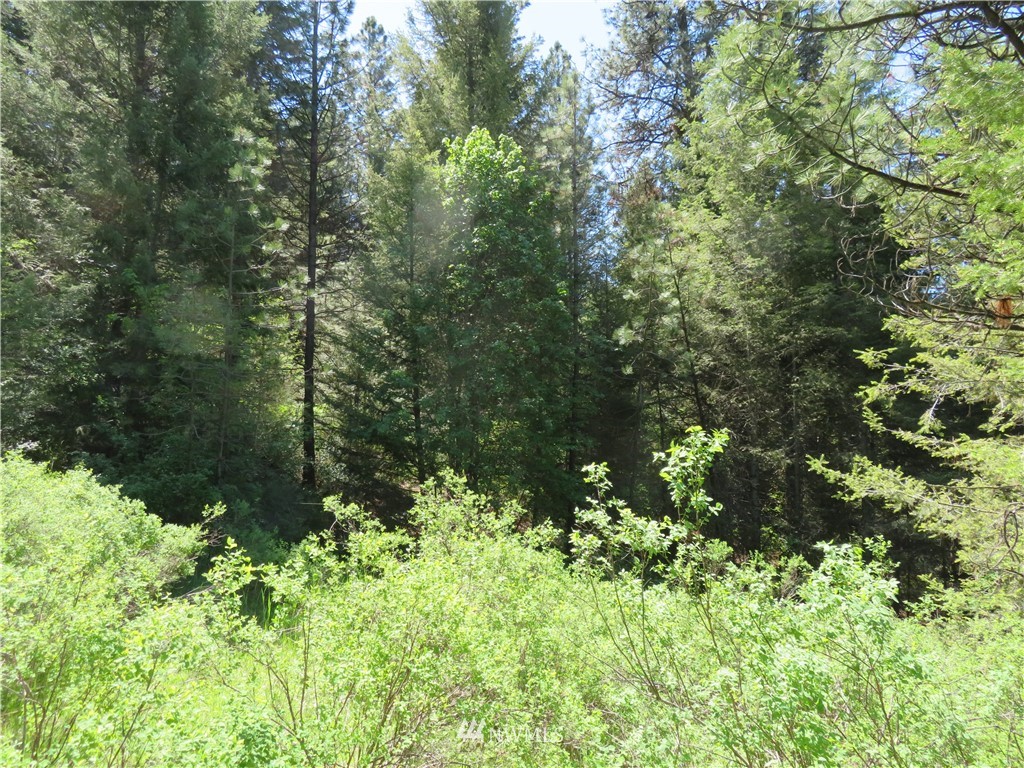 85 East Knob Hill Road Republic, WA 99166 - Photo 10 of 11