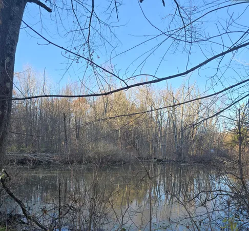 $72,500 | Vl Marcellus Highway, Marcellus, MI 49067
