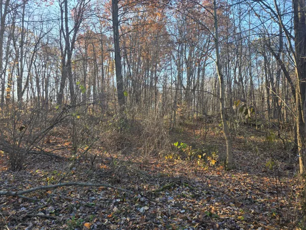 $72,500 | Vl Marcellus Highway, Marcellus, MI 49067