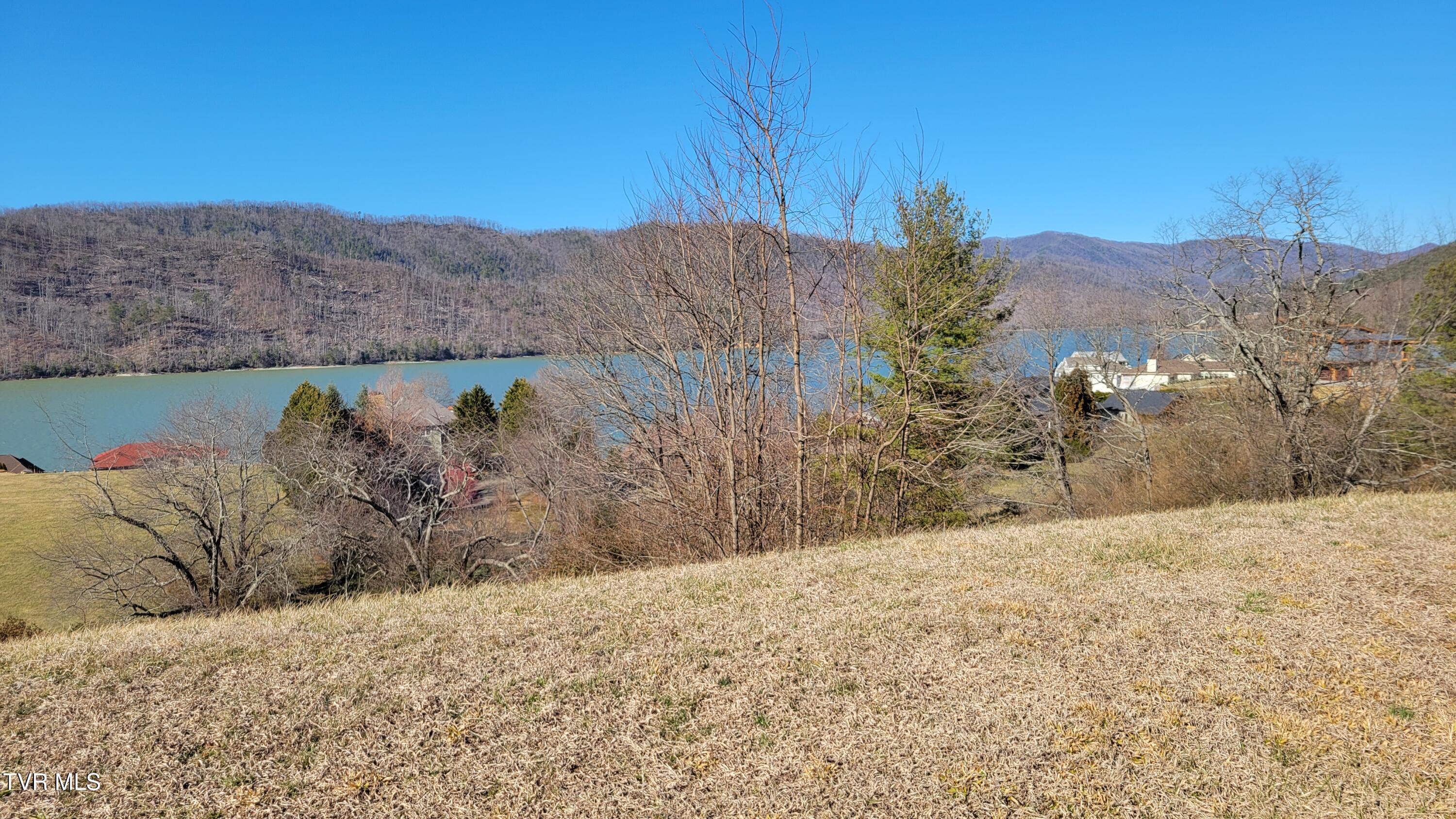 Lot 87 Harbour View Road, Unit 87 Butler, TN 37640 - Photo 19 of 30 harbourview