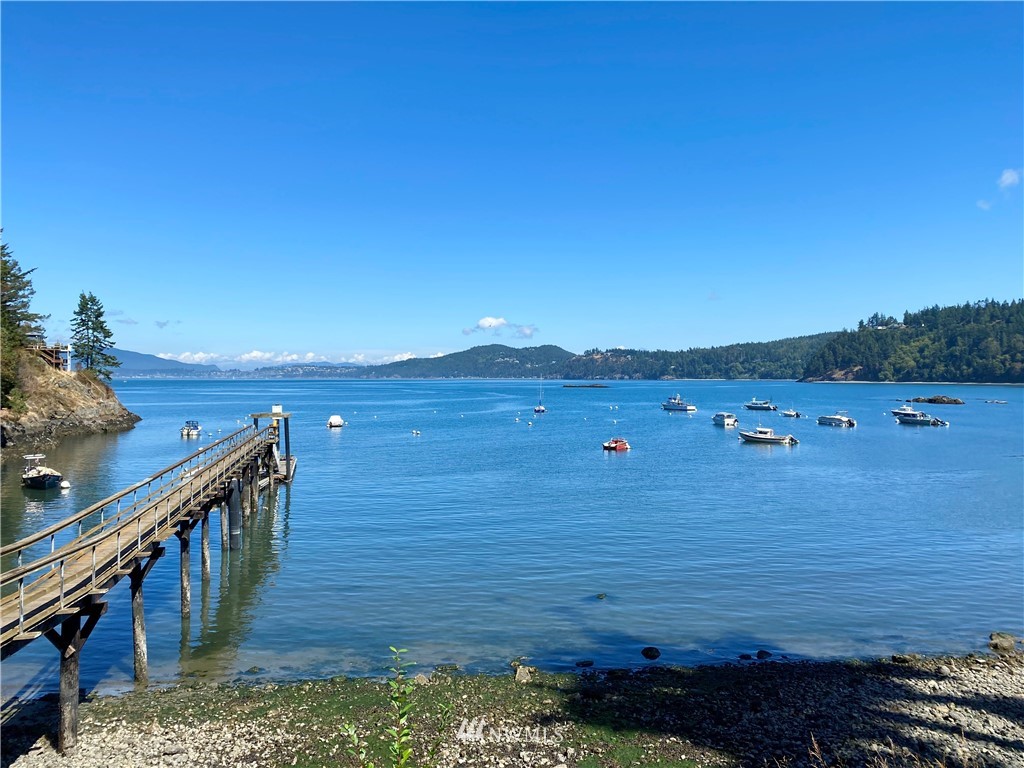 3115 Biz Point Road Anacortes, WA 98221 - Photo 35 of 39 a view of a lake with a mountain