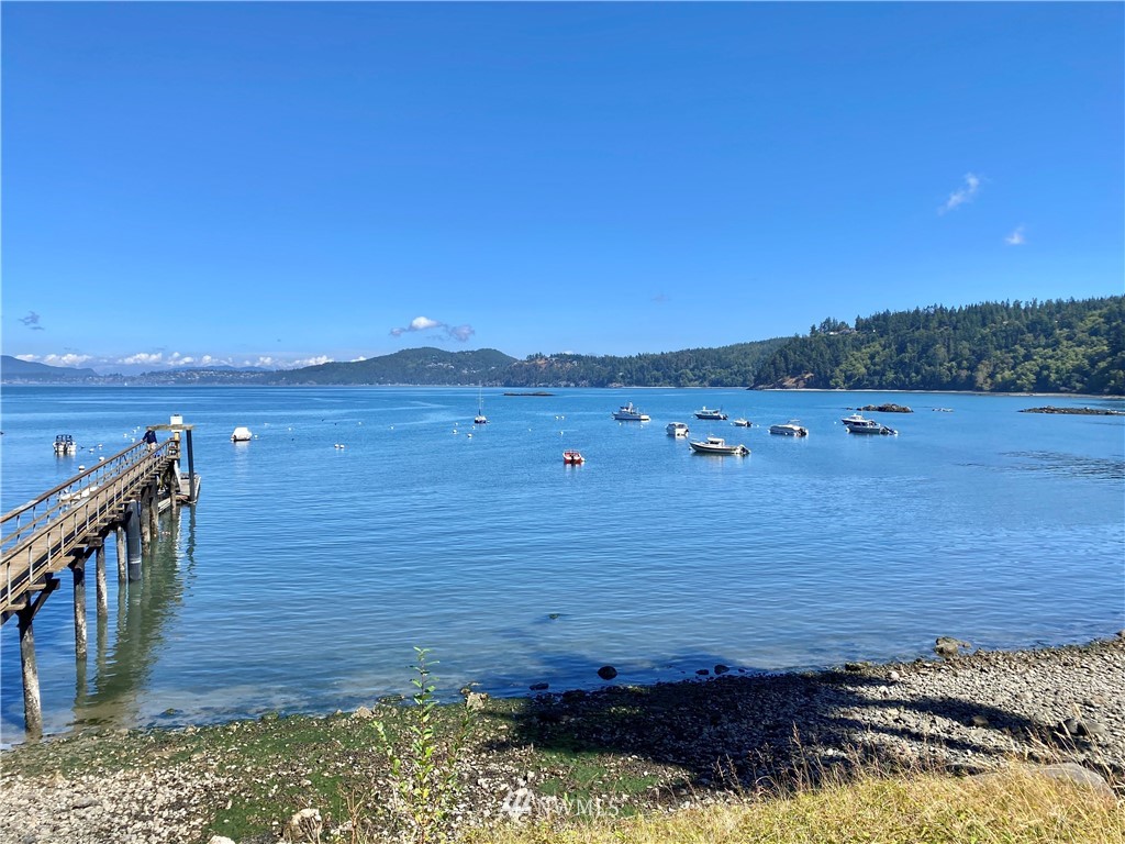 3115 Biz Point Road Anacortes, WA 98221 - Photo 37 of 39 a view of a lake with a mountain
