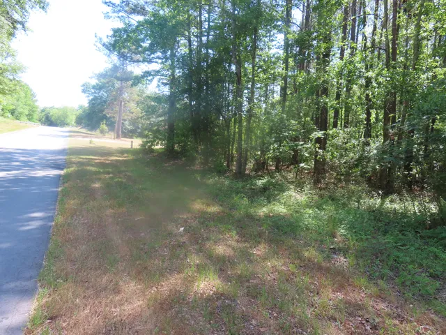 $82,500 | 0 Garvey Road, Summerton, SC 29148