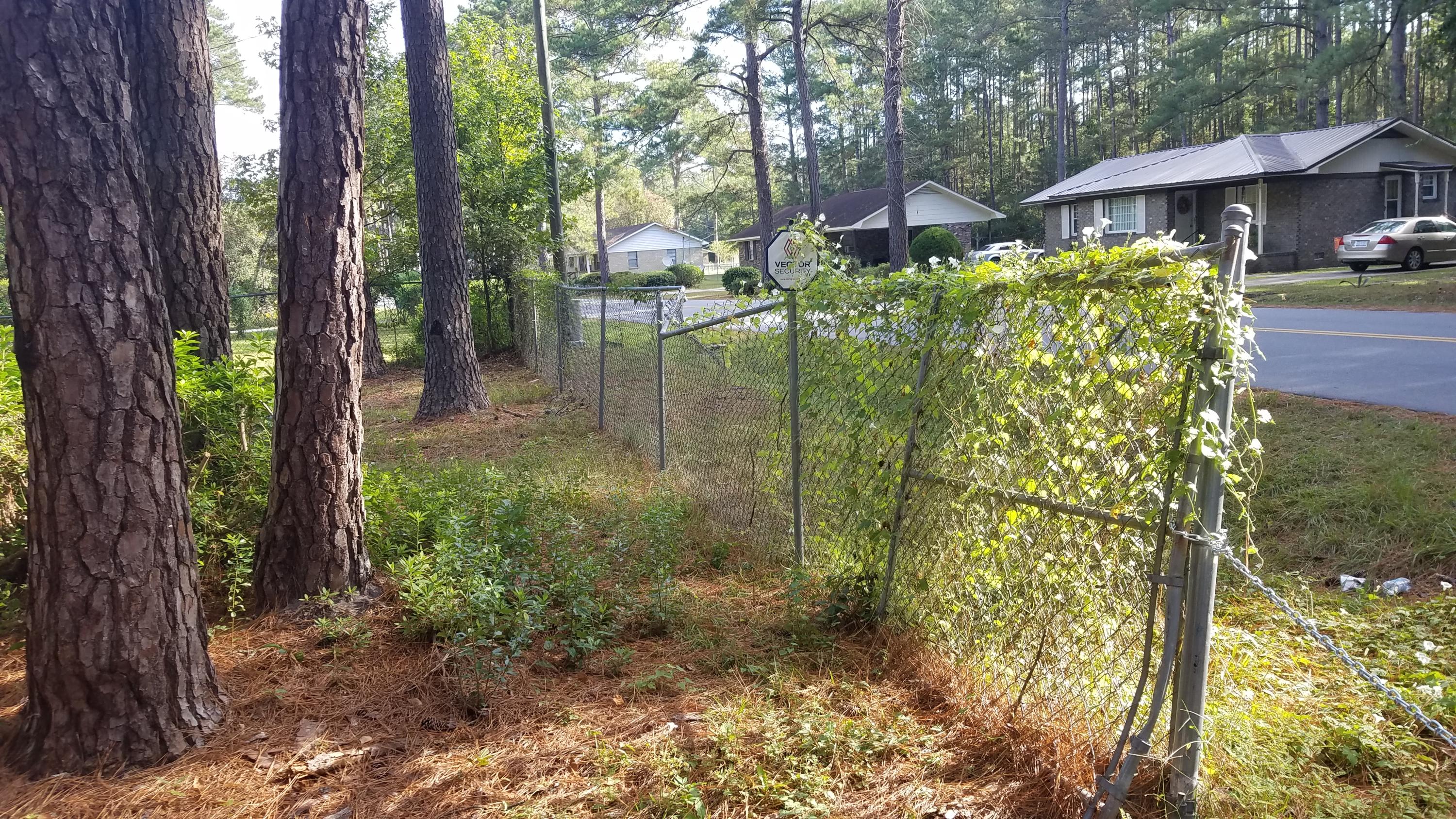 209 Gadsden Loop Walterboro, SC 29488 - Photo 11 of 12 20201019_101030