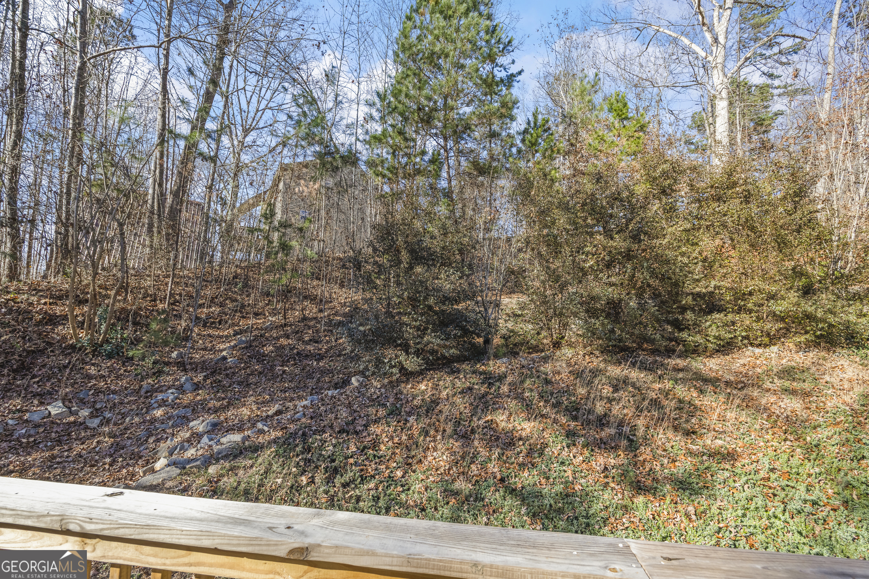 17 Collier Mill Road Toccoa, GA 30577 - Photo 48 of 95