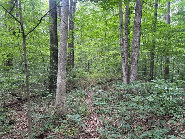 24229 Sanes Creek Road Laurel, IN 47024 - Photo 39 of 54