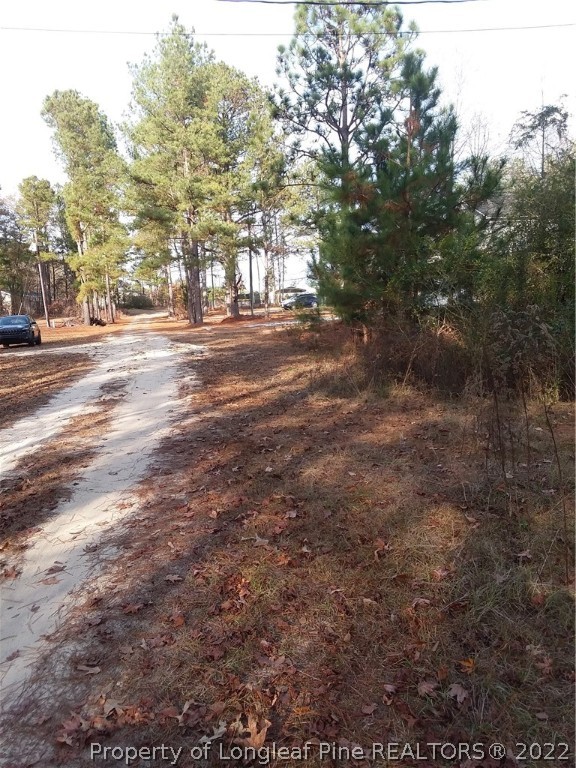 Dundee Farm Road Road Raeford, NC 28376 - Photo 1 of 8 Gallery Image 1