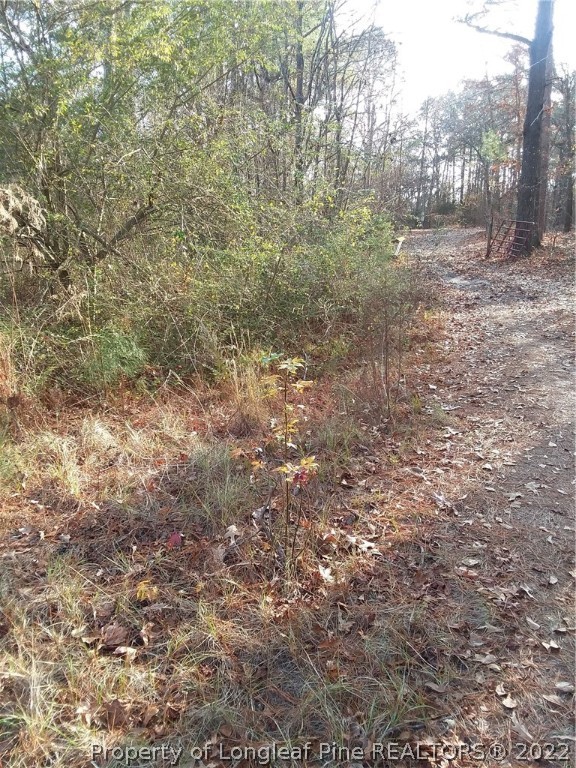 Dundee Farm Road Road Raeford, NC 28376 - Photo 2 of 8 Gallery Image 2