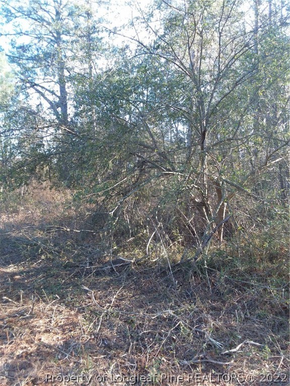 Dundee Farm Road Road Raeford, NC 28376 - Photo 3 of 8 Gallery Image 3