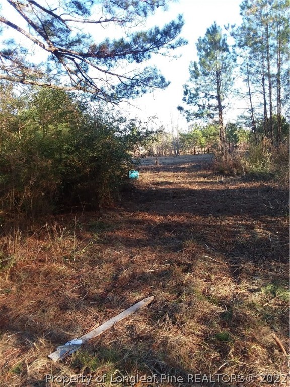 Dundee Farm Road Road Raeford, NC 28376 - Photo 4 of 8 Gallery Image 4