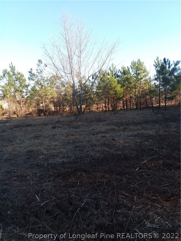 Dundee Farm Road Road Raeford, NC 28376 - Photo 7 of 8 Gallery Image 7