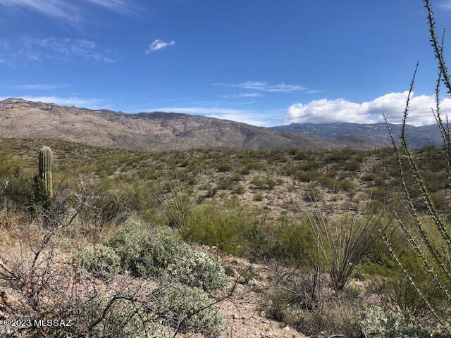 East Rincon Creek Ranch Road, Unit C Tucson, AZ 85747 - Photo 9 of 12 Gallery Image 9
