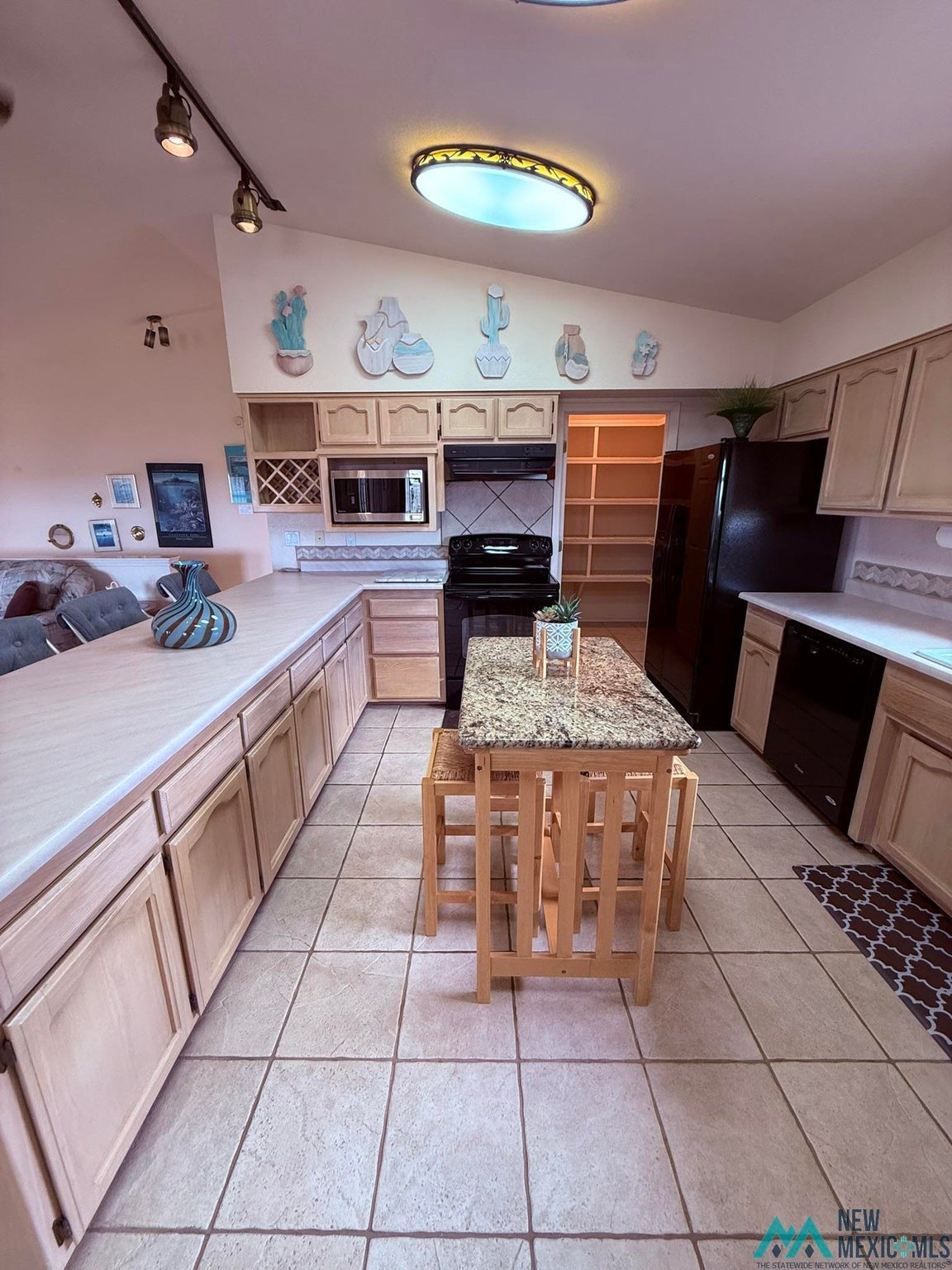 300 Rio Grande Circle Elephant Butte, NM 87935 - Photo 48 of 99 Gallery Image 48