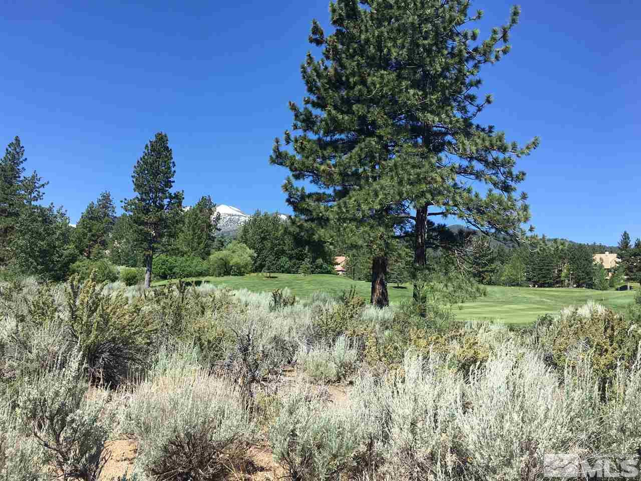 Lot 505 Gebser, Unit 505 Reno, NV 89511 - Photo 2 of 5 Photo 2