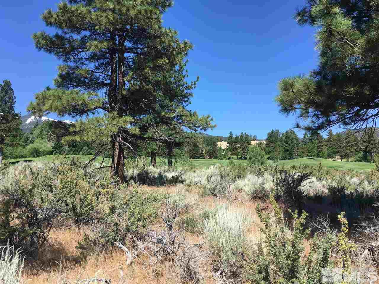 Lot 505 Gebser, Unit 505 Reno, NV 89511 - Photo 4 of 5 Photo 4