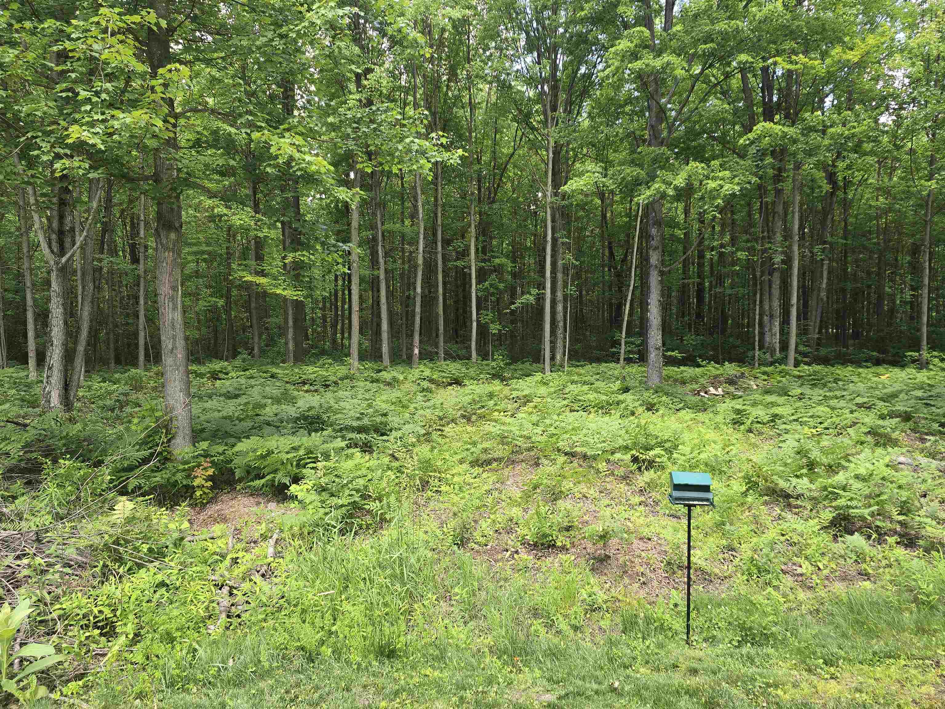 5738 Roehrs Road Beaverton, MI 48612 - Photo 23 of 24