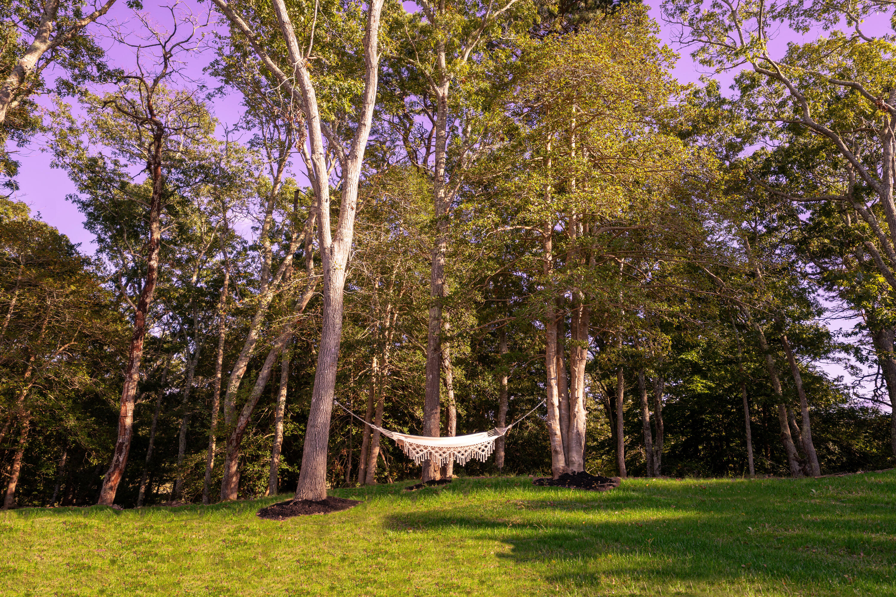 29 Summerwind Lane Centerville, MA 02632 - Photo 17 of 95 A Nature Lover's Dream